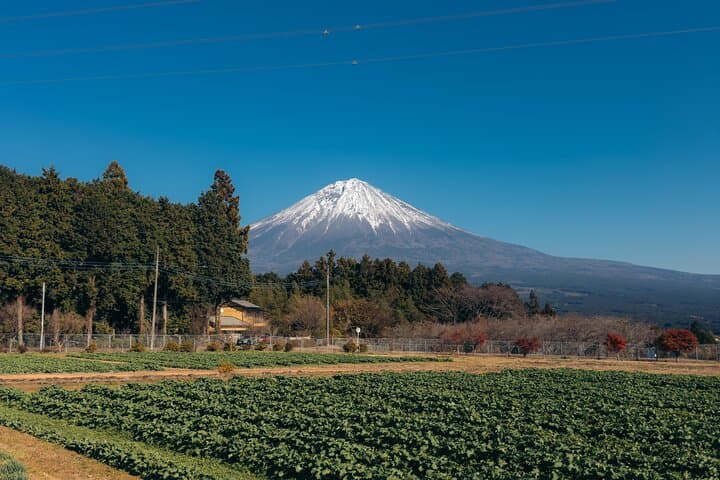 Inaka Excursions | Escape from Tokyo! — photo 19