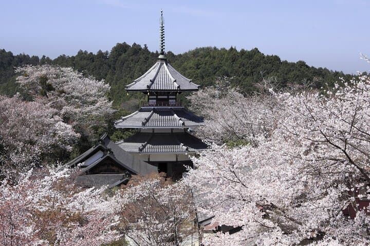 2-Day Shugendo Experience in the Mountains of Yoshino — photo 9