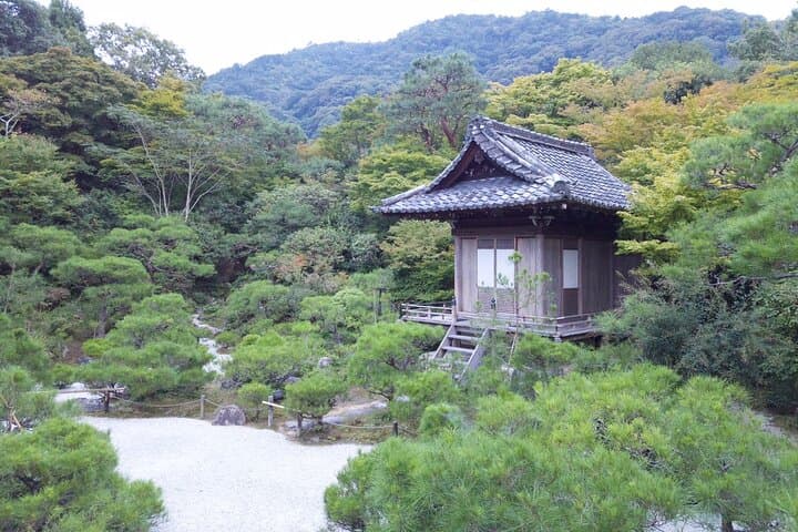 Half Day Kyoto Sagano Bamboo Grove & Arashiyama Walking Tour — photo 15
