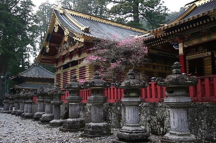 Exclusive Nikko UNESCO World Heritage Private Tour — photo 4