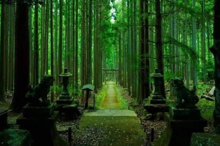 Exclusive Nikko UNESCO World Heritage Private Tour — photo 7