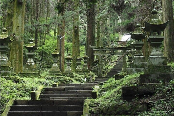 Exclusive Nikko UNESCO World Heritage Private Tour — photo 8