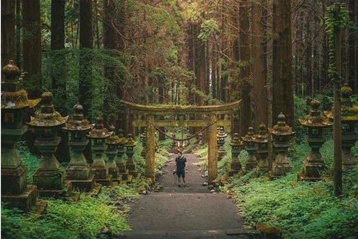 Exclusive Nikko UNESCO World Heritage Private Tour — photo 10