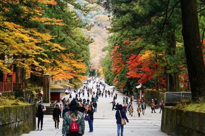 Exclusive Nikko UNESCO World Heritage Private Tour — photo 15
