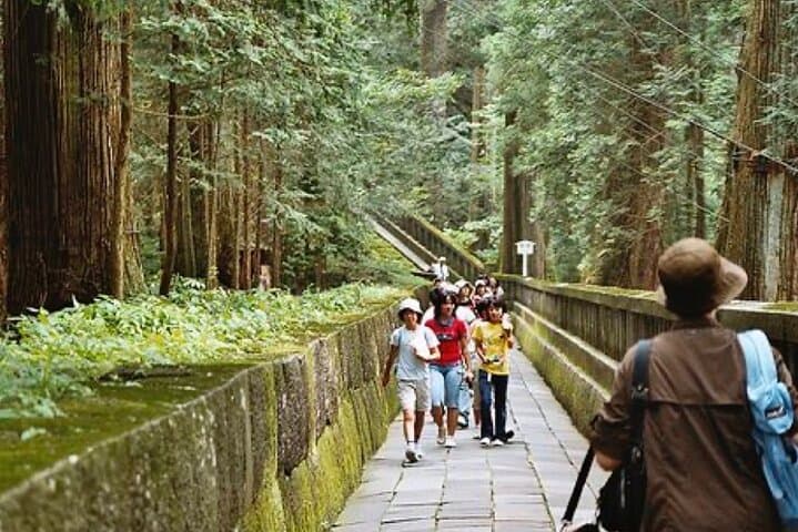 Exclusive Nikko UNESCO World Heritage Private Tour — photo 16