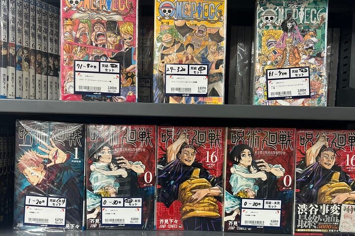 4 Hour Akihabara Anime and Retro Game Shopping Tour — photo 2