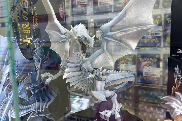 4 Hour Akihabara Anime and Retro Game Shopping Tour — photo 9