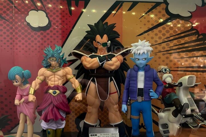 4 Hour Akihabara Anime and Retro Game Shopping Tour — photo 16