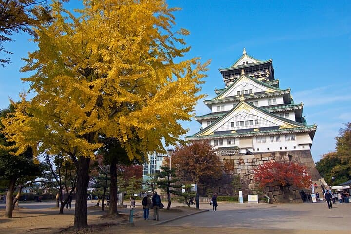 Osaka Castle Tower and Toyotomi Ishigaki Museum Pass — photo 2