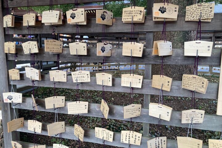 Tokyo: Meiji Jingu Historical Walking Tour — photo 8