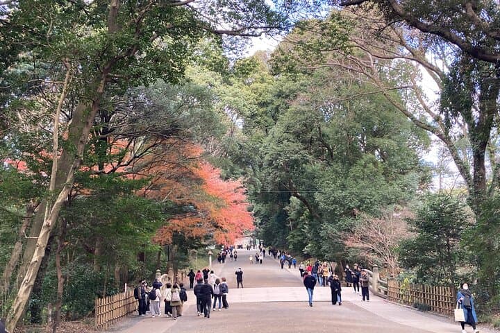 Meiji Jingu Historical Walk and Food Tasting Tour in Tokyo — photo 5