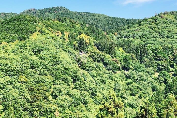 2-Day Shugendo Experience in the Mountains of Yoshino — photo 8