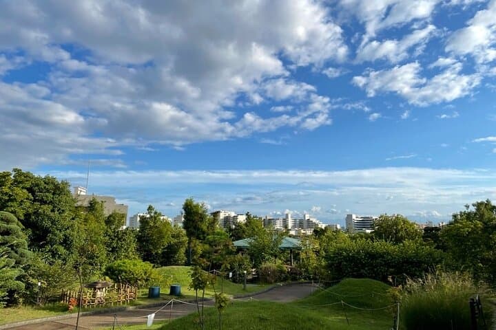 Tour with Local: Nakameguro & Daikanyama Walk — photo 17