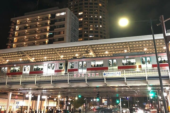 Tour with Local: Nakameguro & Daikanyama Walk — photo 19