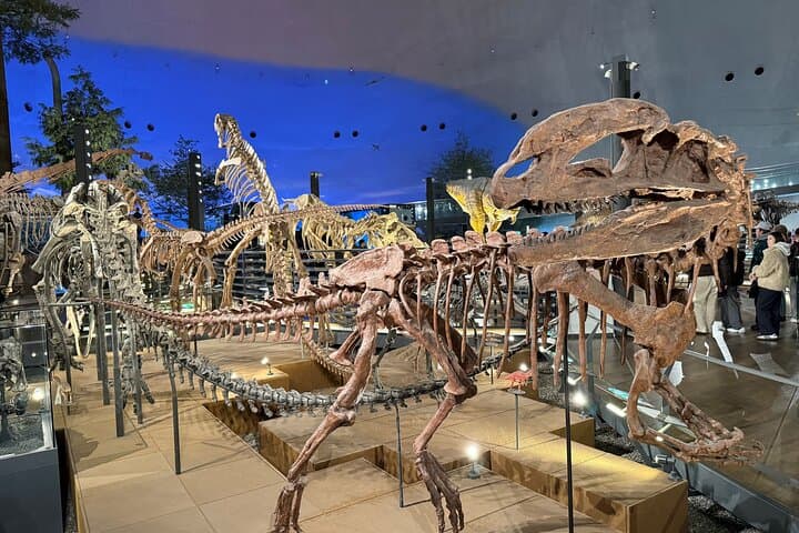 Kanazawa : World-Class Fukui Dinosaur Museum Small Group Tour — photo 7