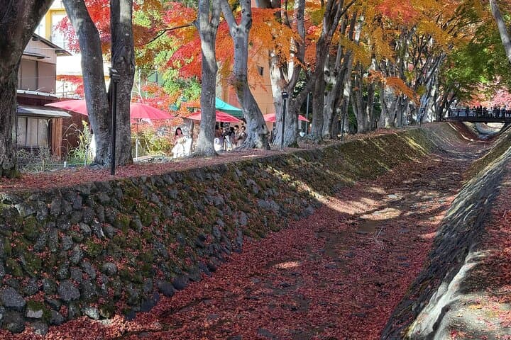 Mount Fuji Full Day Customize Private Tour With English Guide — photo 5