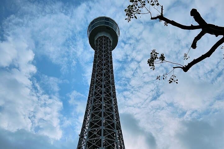 Yokohama Private Accessible & Customizable Tour — photo 15
