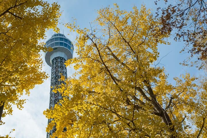 Yokohama Private Accessible & Customizable Tour — photo 20
