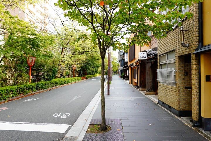 Kyoto E-Bike Tour of Hidden Gems and Temples South Route — photo 5