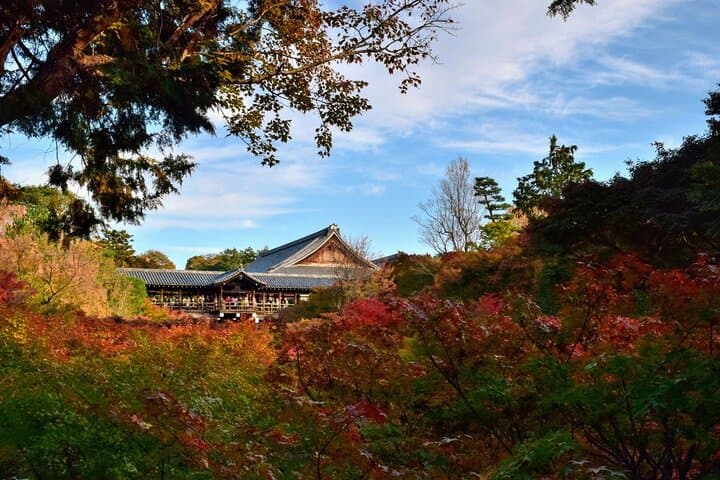 Kyoto E-Bike Tour of Hidden Gems and Temples South Route — photo 7