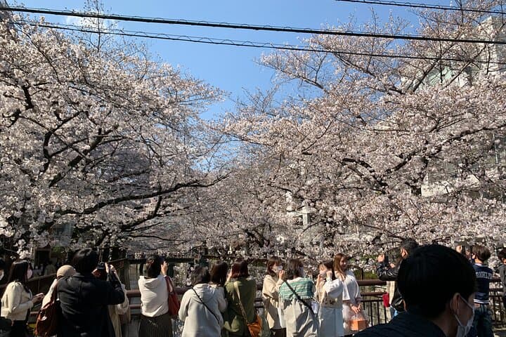 Tour with Local: Nakameguro & Daikanyama Walk — photo 12