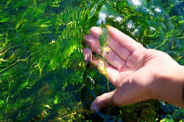 The Essence of Water in Japan 4 Days Charter Car Tour from Kyoto — photo 12