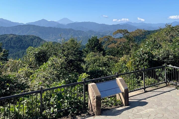 Half Day Hiking at Mt Takao Back to Shinjuku by Noon — photo 2