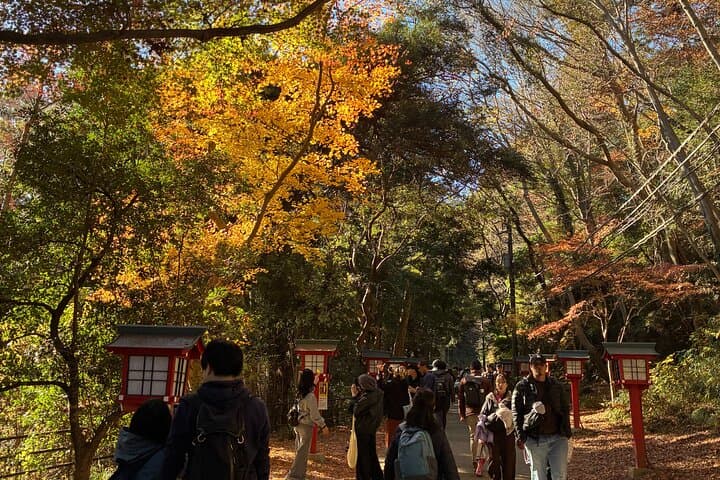 Half Day Hiking at Mt Takao Back to Shinjuku by Noon — photo 17
