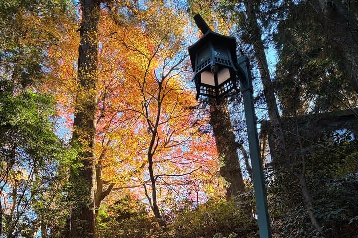 Half Day Hiking at Mt Takao Back to Shinjuku by Noon — photo 7