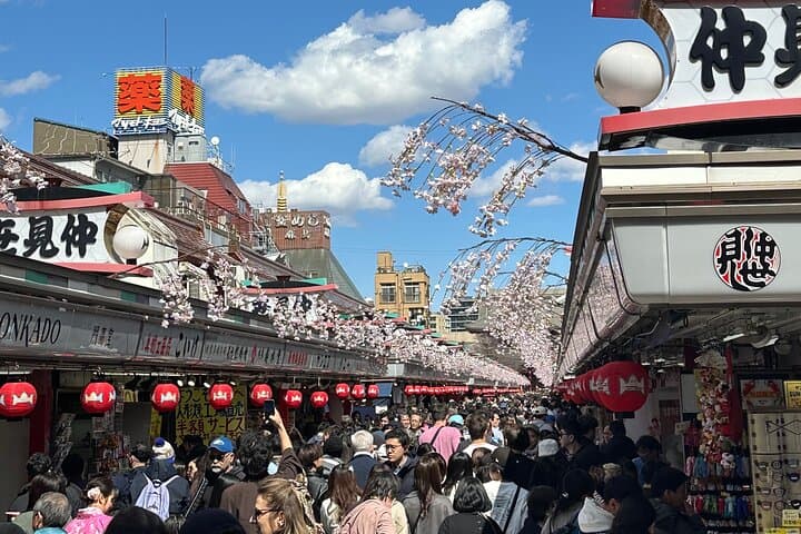 Experience Tokyo with Asakusa Walking Tour — photo 1