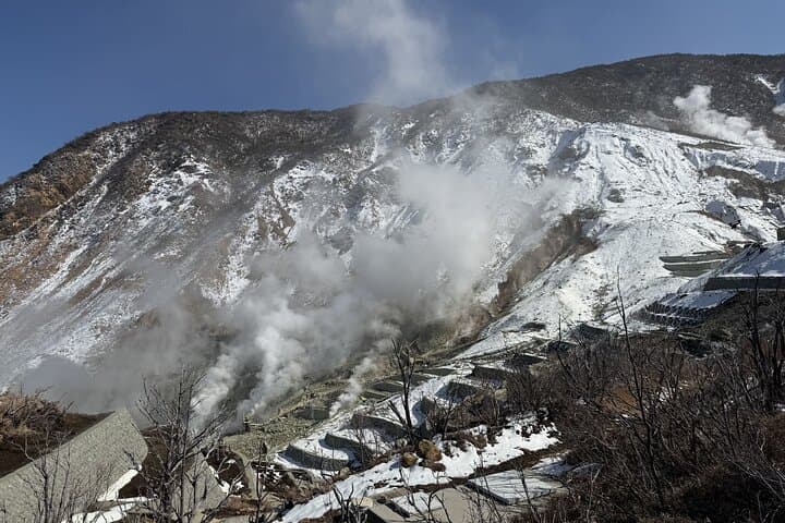 From Tokyo: Mt. Fuji, Hakone, Owakudani & Lake Ashi Bus Tour — photo 10