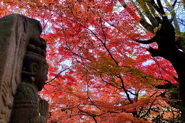 Private Tour of Medieval Japan Outside Osaka — photo 8