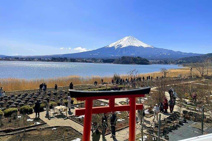 From Tokyo: Mt. Fuji 6 Attractions: Lake Kawaguchi, Oshino Hakkai — photo 19