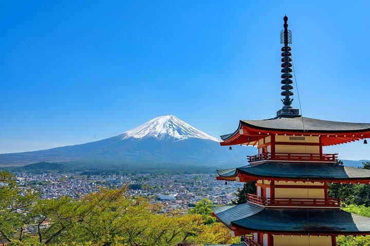 From Tokyo: Mt. Fuji 6 Attractions: Lake Kawaguchi, Oshino Hakkai — photo 20