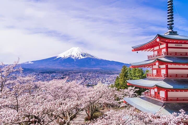 From Tokyo: Mt. Fuji 6 Attractions: Lake Kawaguchi, Oshino Hakkai