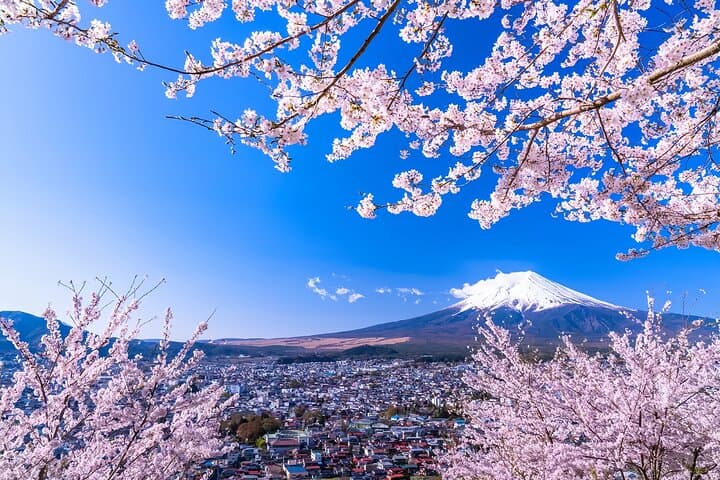 From Tokyo: Mt. Fuji 6 Attractions: Lake Kawaguchi, Oshino Hakkai — photo 2