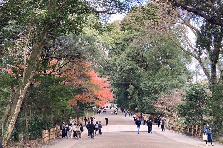 Tokyo: Meiji Jingu Historical Walking Tour — photo 2