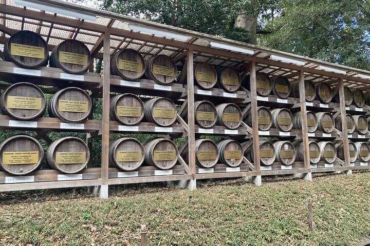 Tokyo: Meiji Jingu Historical Walking Tour — photo 5