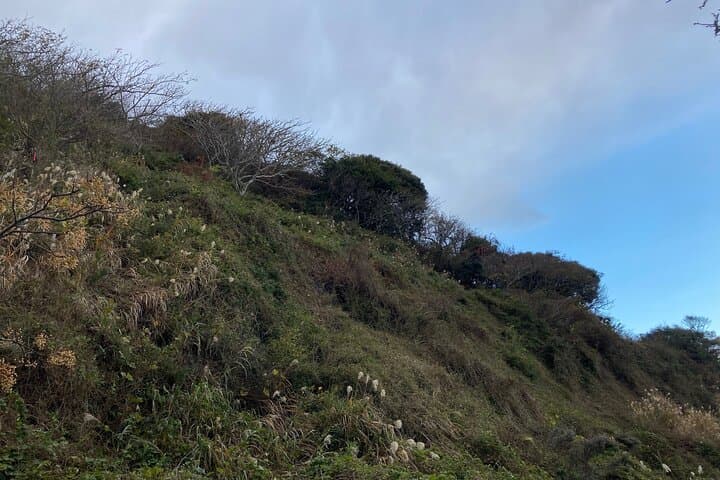 Kamakura Seaside Morning Walking Tour — photo 6