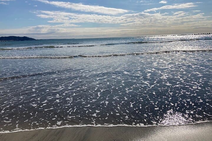 Kamakura Seaside Morning Walking Tour — photo 9