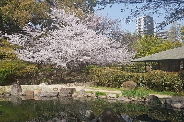 Full Day Private Osaka Tour with Local Highlights and Hidden Gems — photo 3