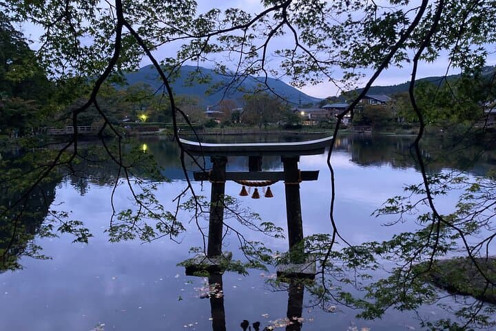 Beppu and Yufuin Hot Springs and Nature Tour — photo 9