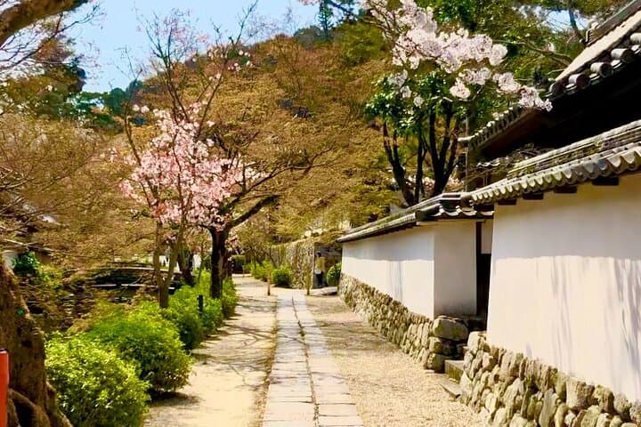 Private Tour of Medieval Japan Outside Osaka — photo 2