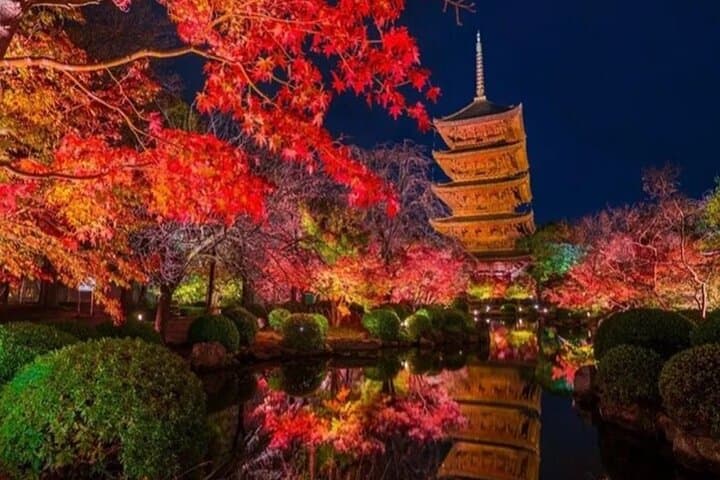 Osaka and Nara Private Car Tour with a Local English Guide Driver — photo 14