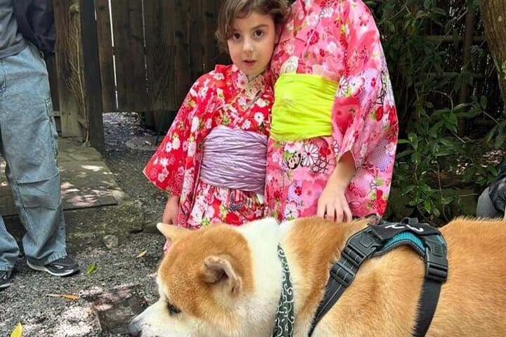Osaka and Nara Private Car Tour with a Local English Guide Driver — photo 17