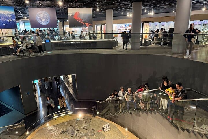 Kanazawa : World-Class Fukui Dinosaur Museum Small Group Tour — photo 9