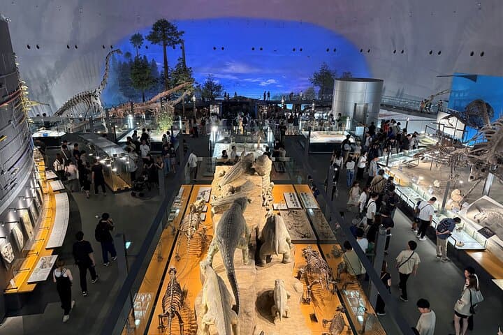 Kanazawa : World-Class Fukui Dinosaur Museum Small Group Tour — photo 10