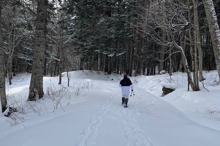 Snowshoeing and Onsen Adventures in a Winter Wonderland -Sapporo. — photo 17