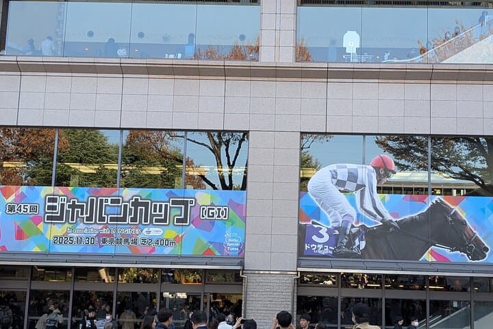 Japanese horse racing private tour in Tokyo! — photo 3