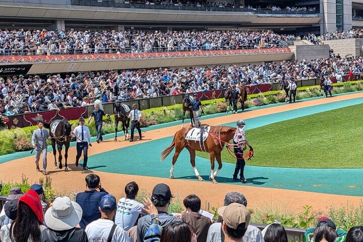 Japanese horse racing private tour in Tokyo! — photo 7